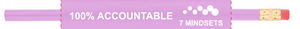 100% Accountable Pencil